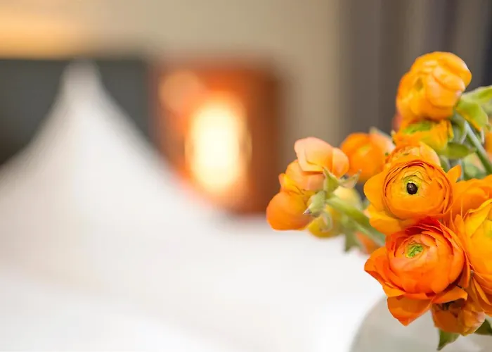 City Hotel Roding Hotel Roding